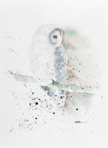 Painting of barred owl