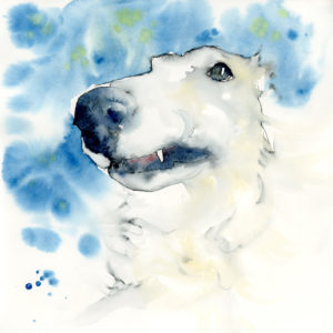 dog watercolour