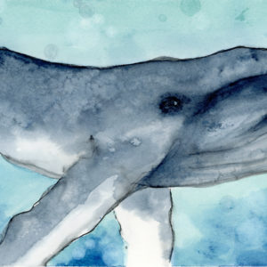 whale painting