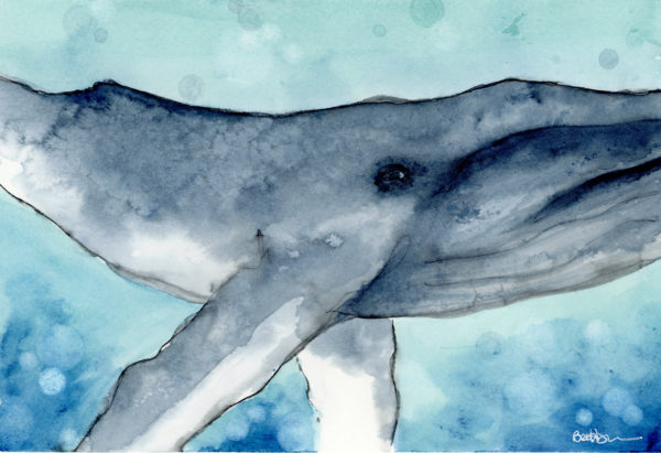 whale painting