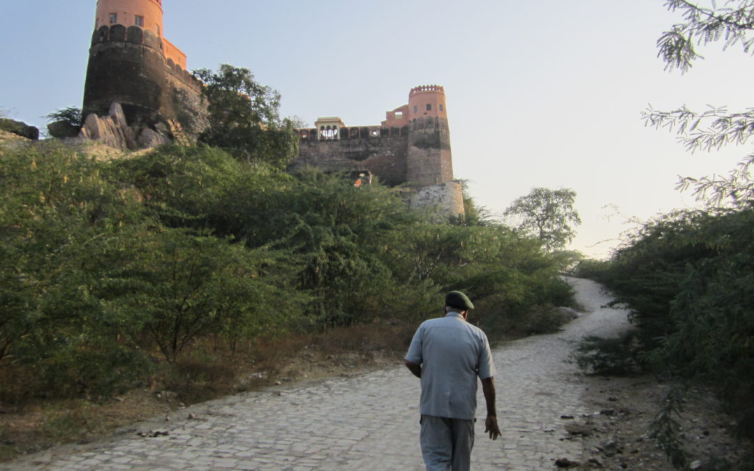 Madhoghar Fort, Bassi