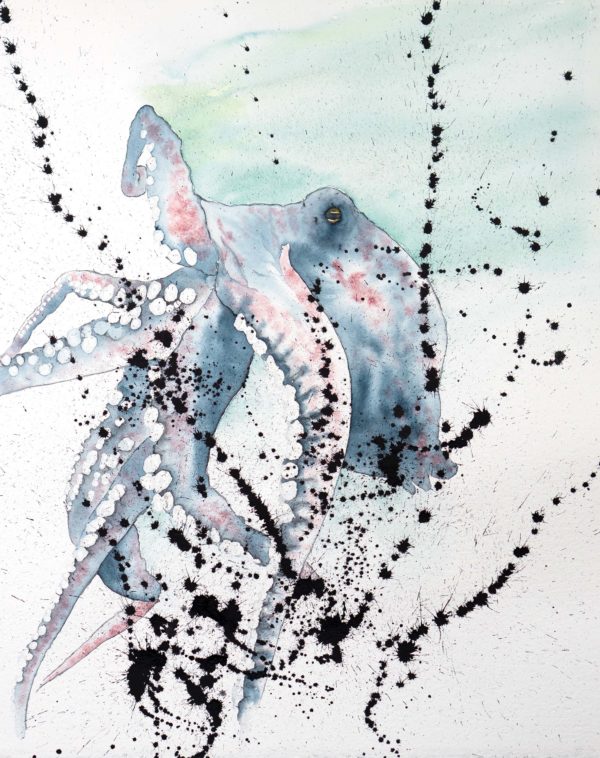 octopus