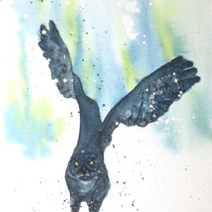 Flying owl