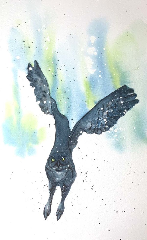 Flying owl