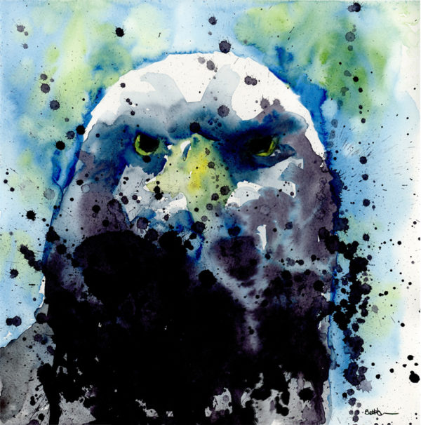 eagle painting