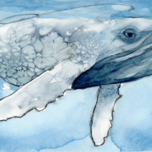 whale painting