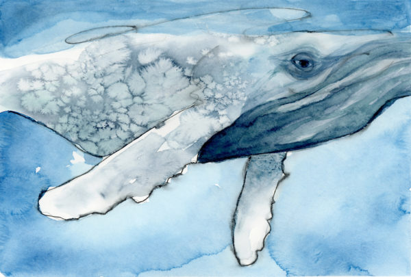 whale painting