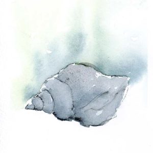 moon snail painting