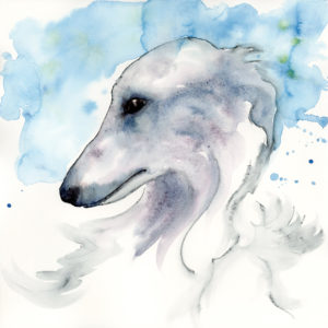 dog watercolour