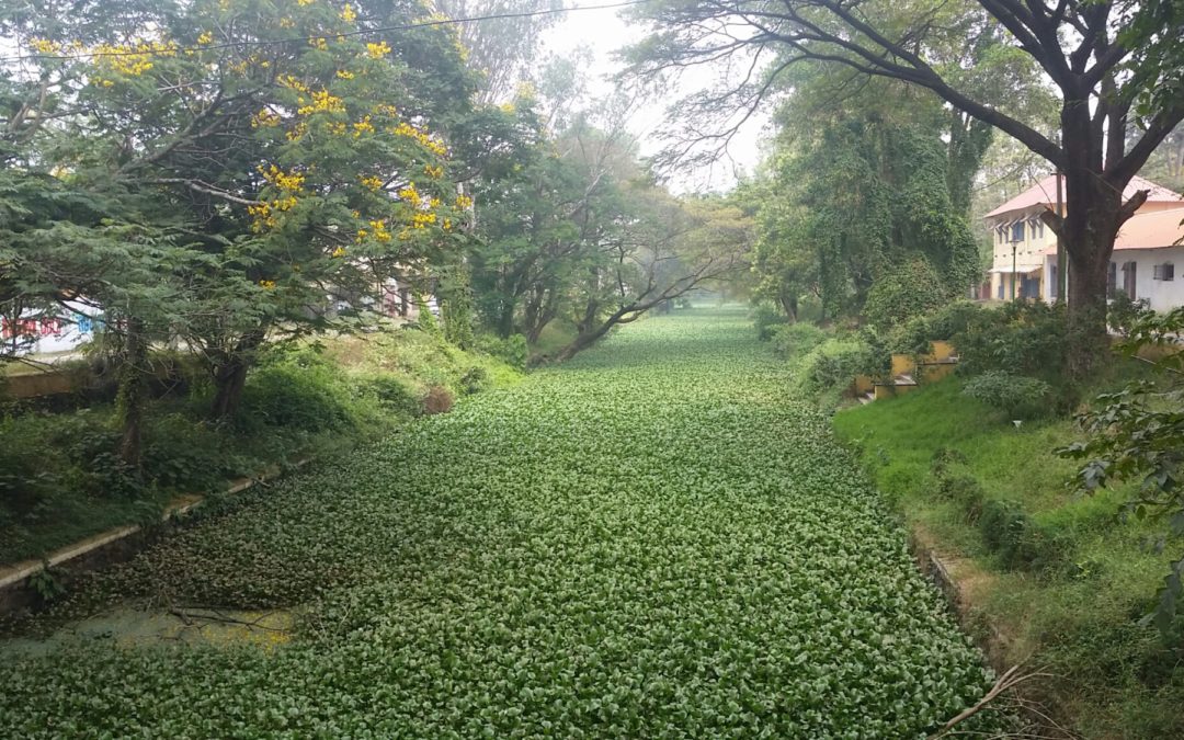 Backwaters of kerala in which no booze was to be found